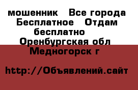 мошенник - Все города Бесплатное » Отдам бесплатно   . Оренбургская обл.,Медногорск г.